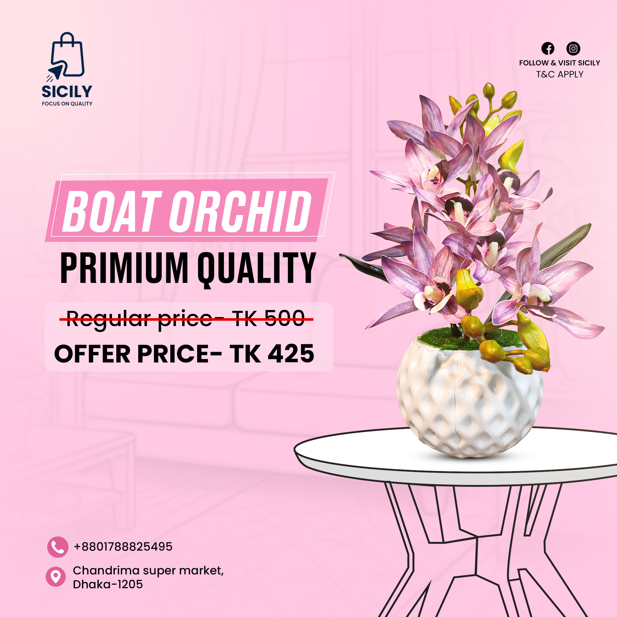Primium Boat Orchid with Tub (PBOT-0104)Lavender – Sicily