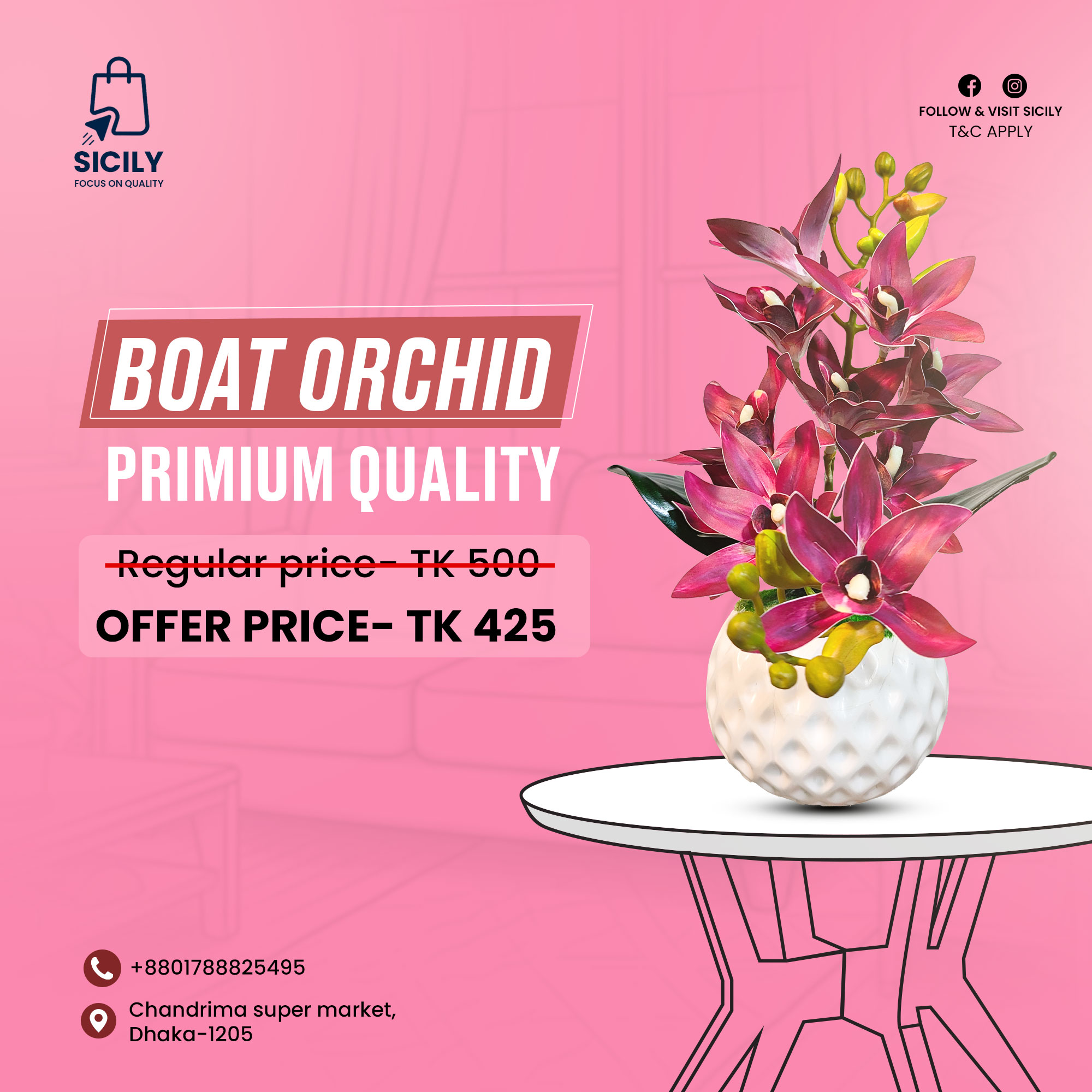 Primium Boat Orchid with Tub (PBOT-0101)Pink – Sicily